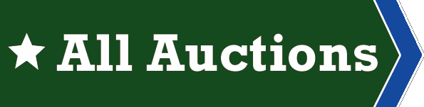 homepage auction buttons